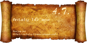 Antaly Tímea névjegykártya